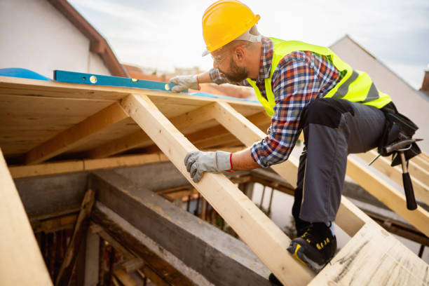 Best Roof Gutter Cleaning  in Grant, AL